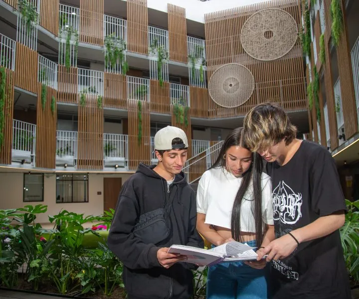 estudiantes-universitarios.jpg